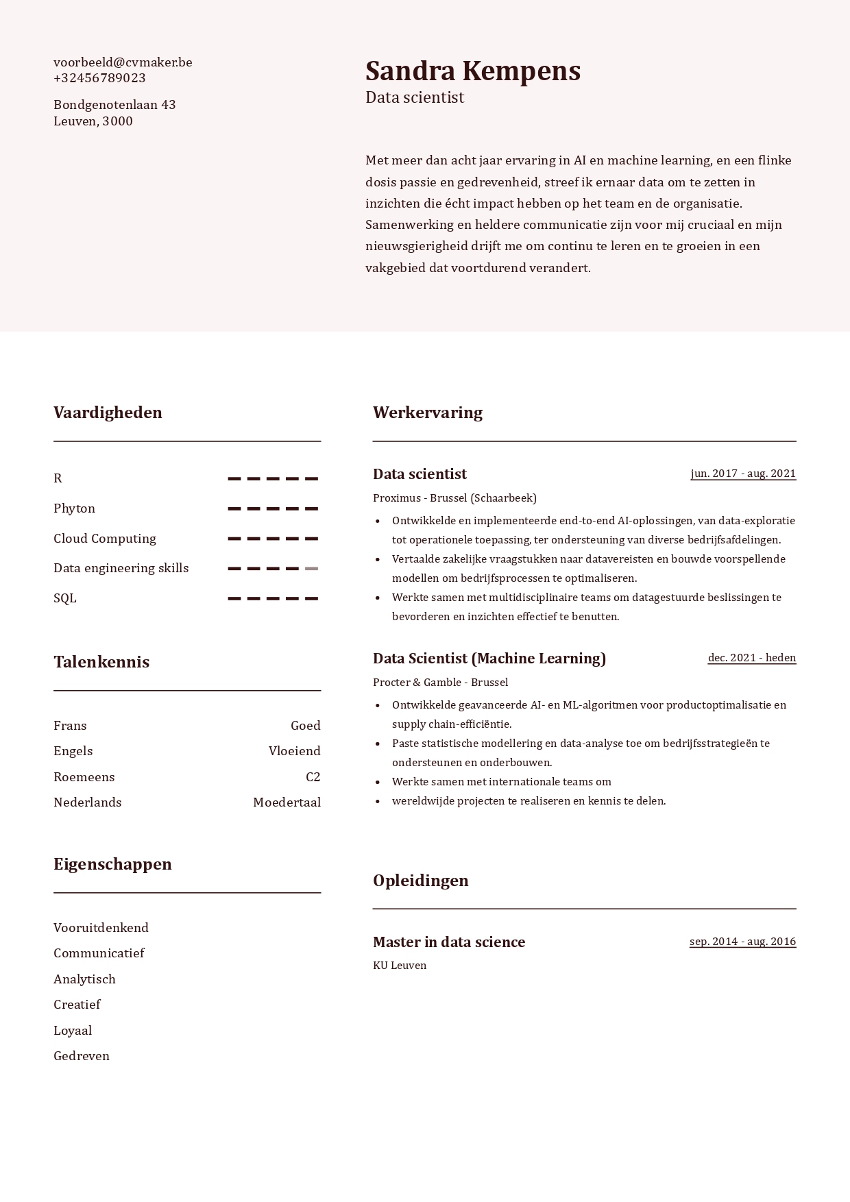 Voorbeeld van een data scientist cv