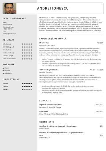 CV șablon-auckland-e9e9e9