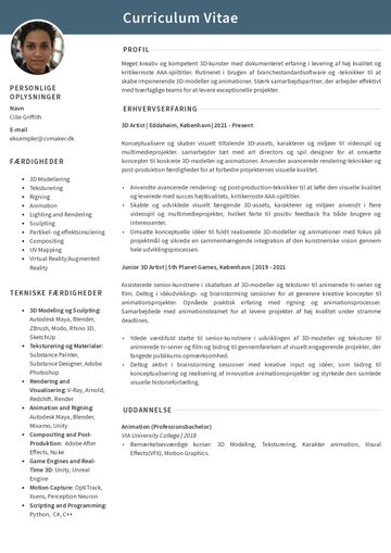 Eksempel på artist CV