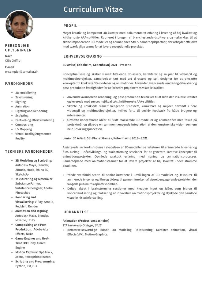 Eksempel på artist CV