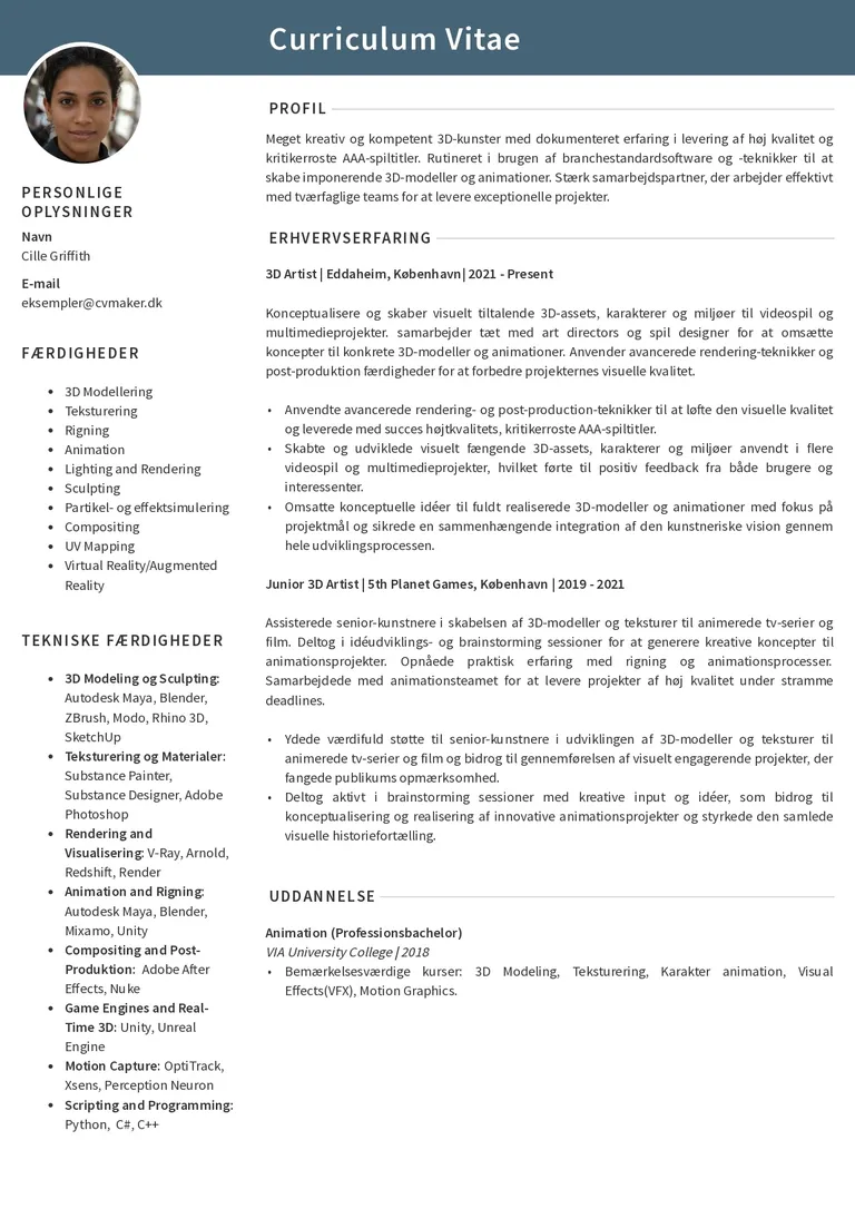Eksempel på artist CV