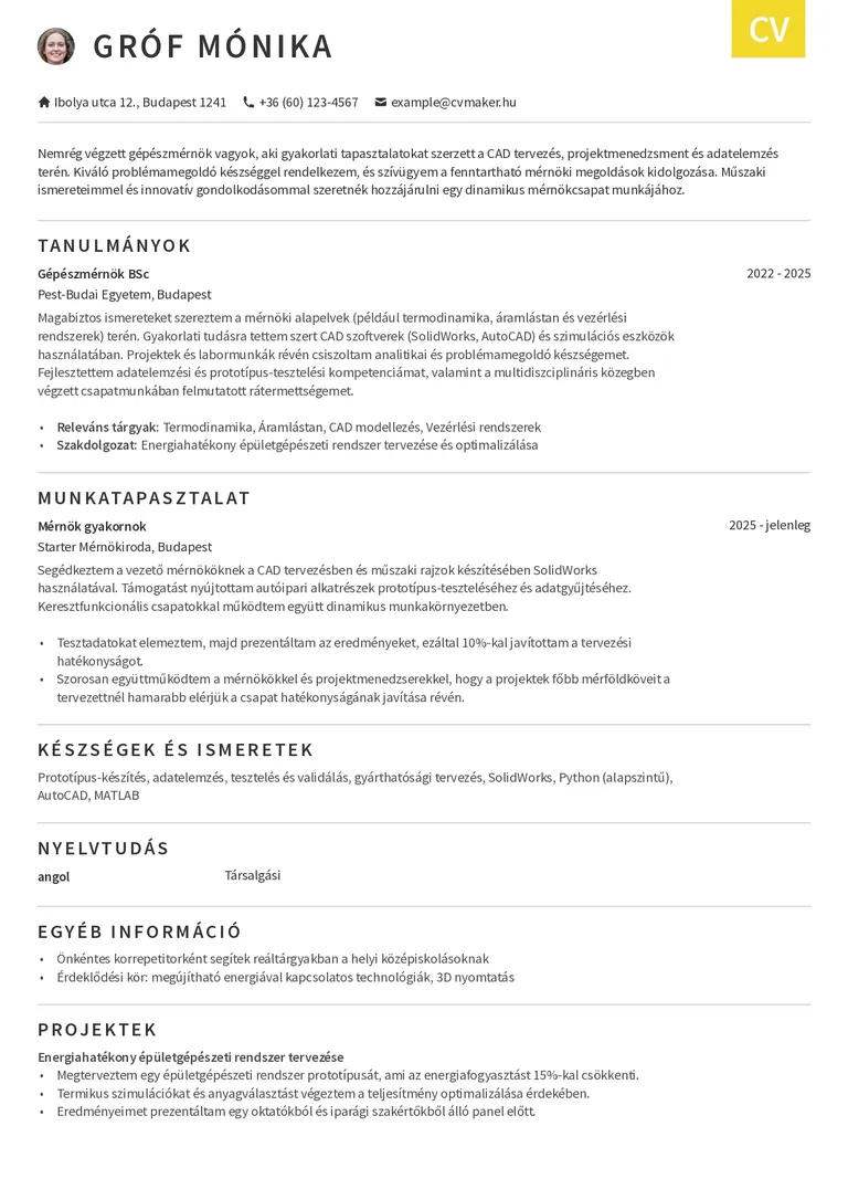 Pályakezdő önéletrajz minta – mérnök