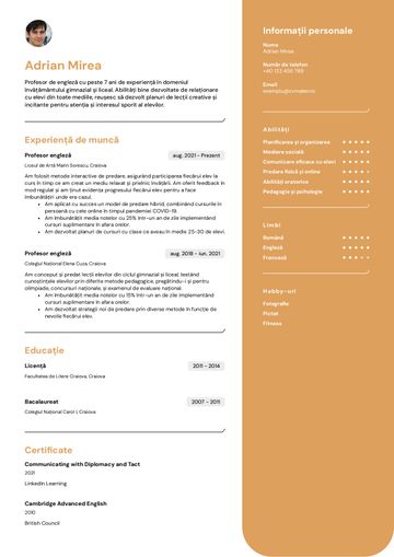 Exemplu CV profesor