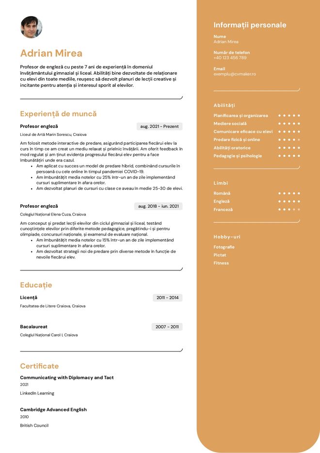 Exemplu CV profesor