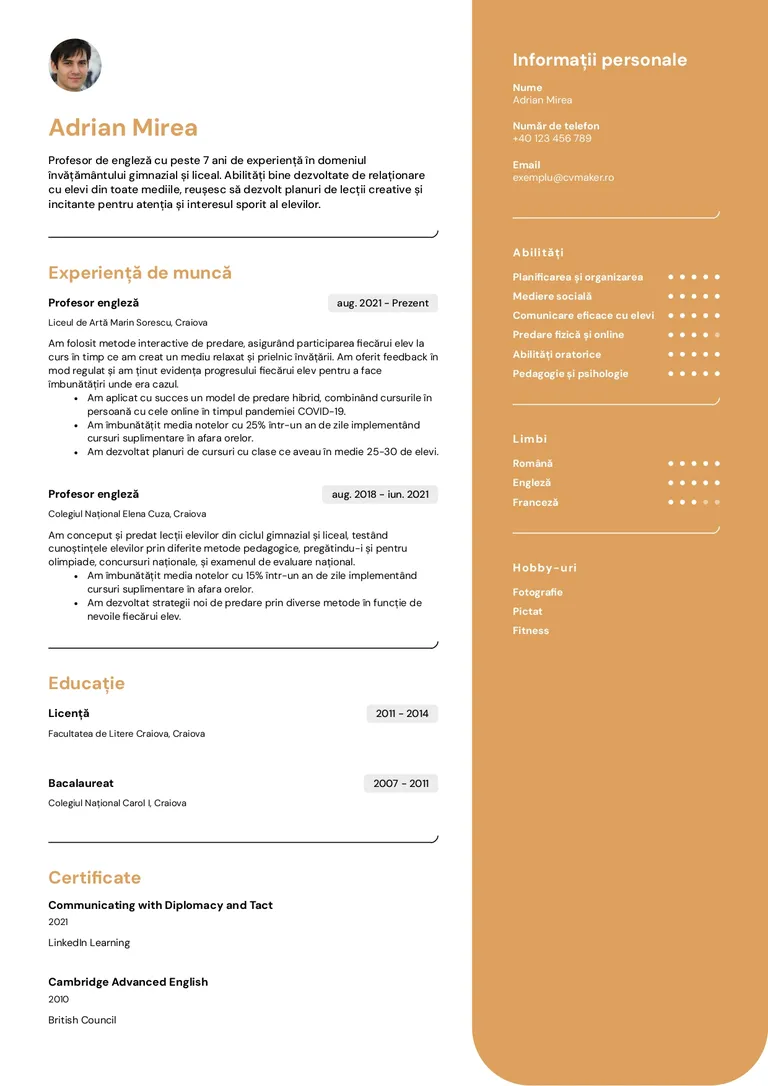 Exemplu CV profesor