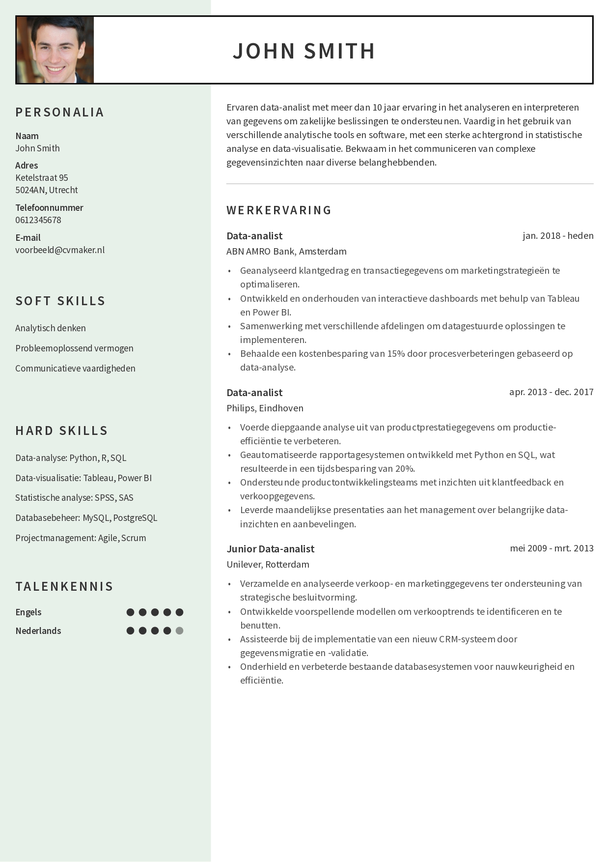 Data analist cv met computervaardigheden