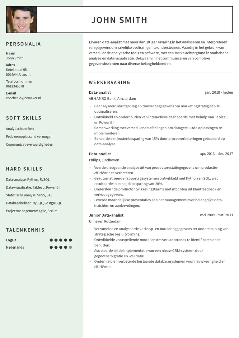 Data analist cv met computervaardigheden