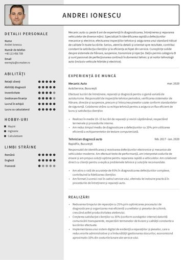CV mecanic auto