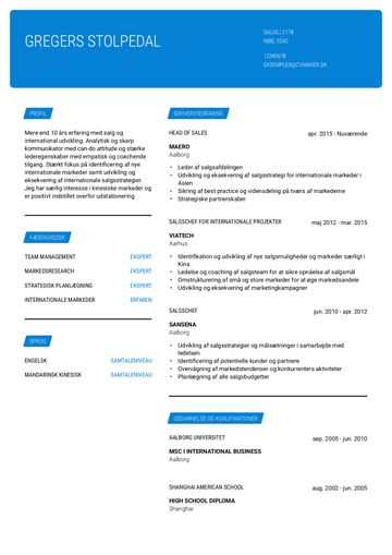 Eksempel på et Salgschef-CV