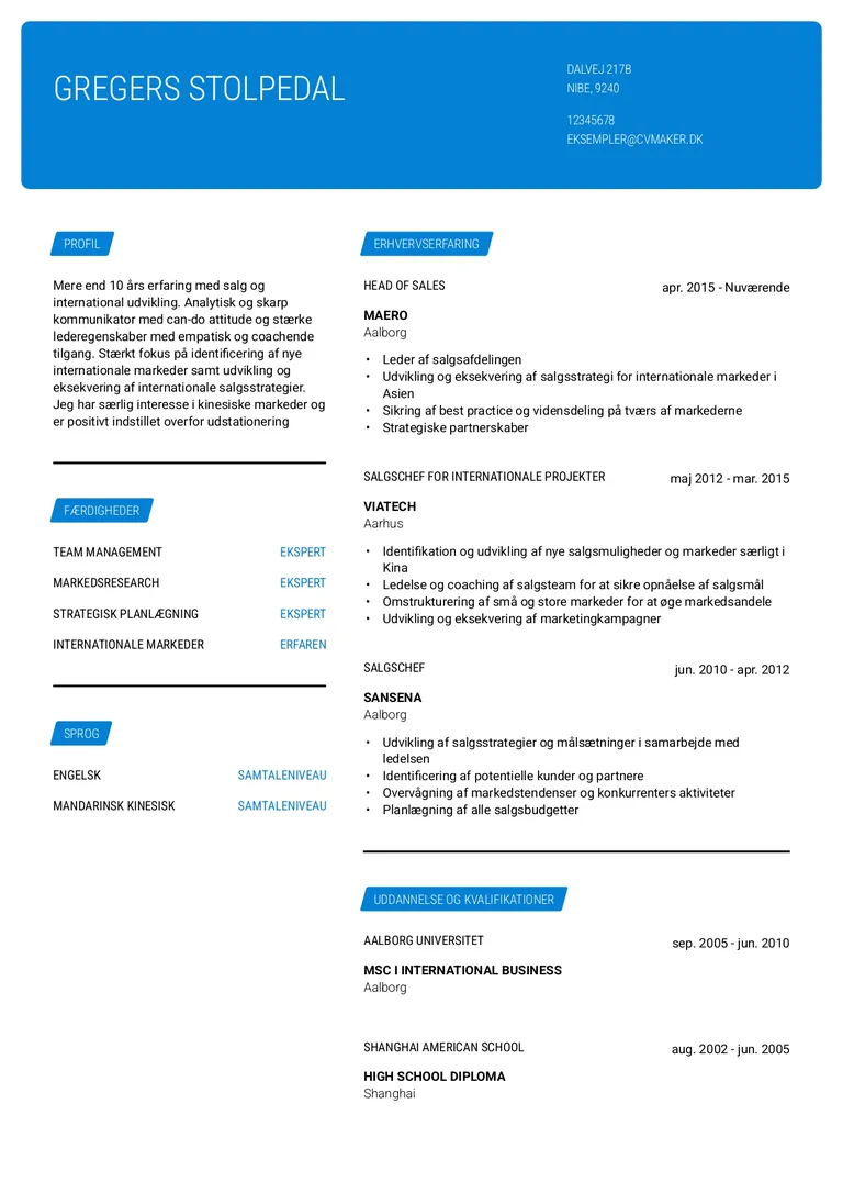 Eksempel på et Salgschef-CV