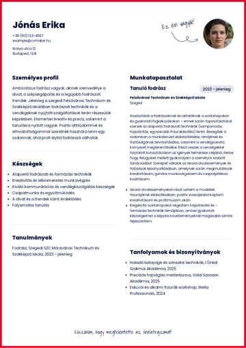 önéletrajz sablon michigan piros