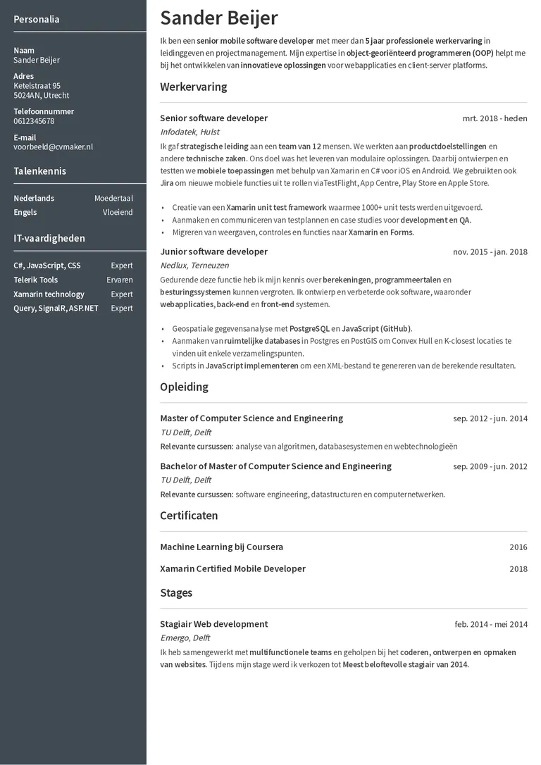 Grijs cv voorbeeld