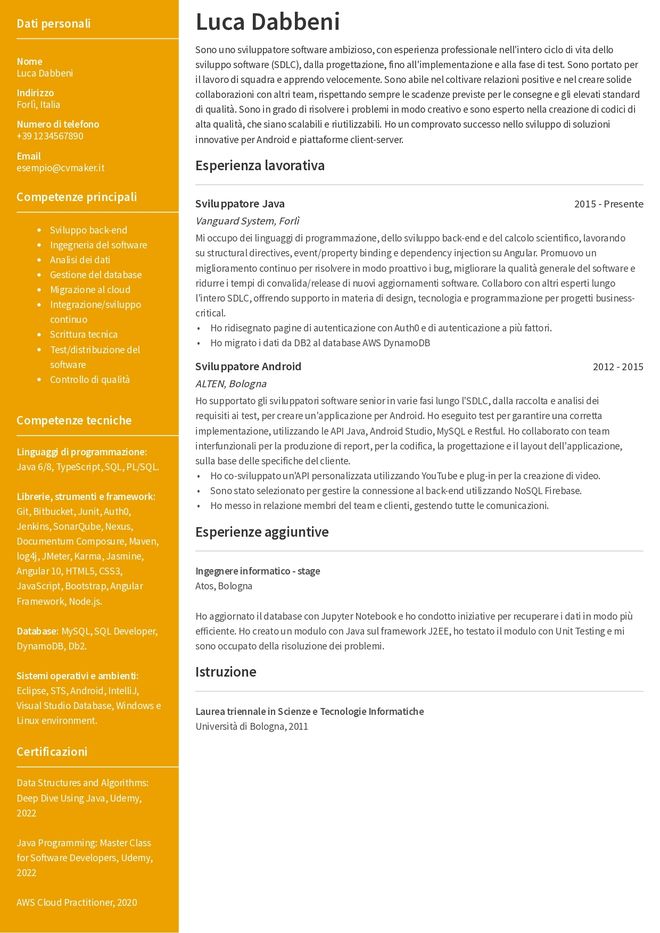 esempio di CV per sviluppatore software