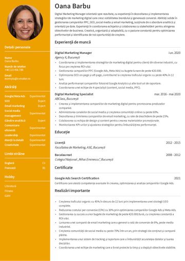 CV șablon-stanford-eea100