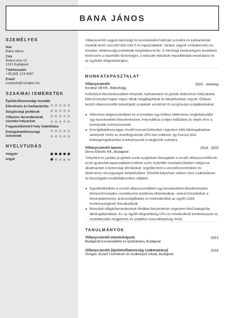 Villanyszerelő önéletrajz-minta
