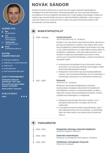 Könyvelő önéletrajz-minta