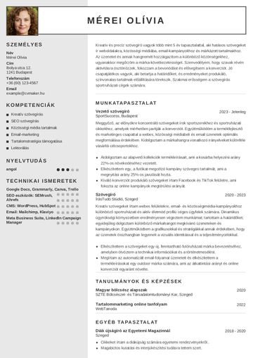 Szövegíró önéletrajz minta