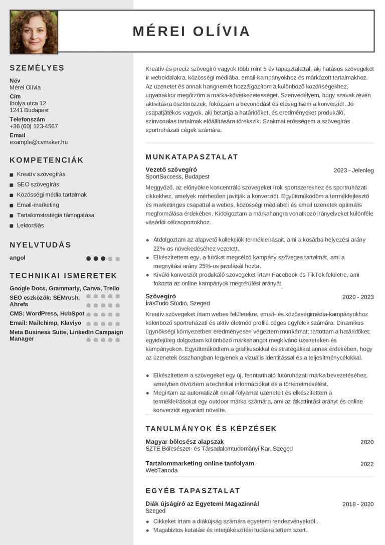 Szövegíró önéletrajz minta