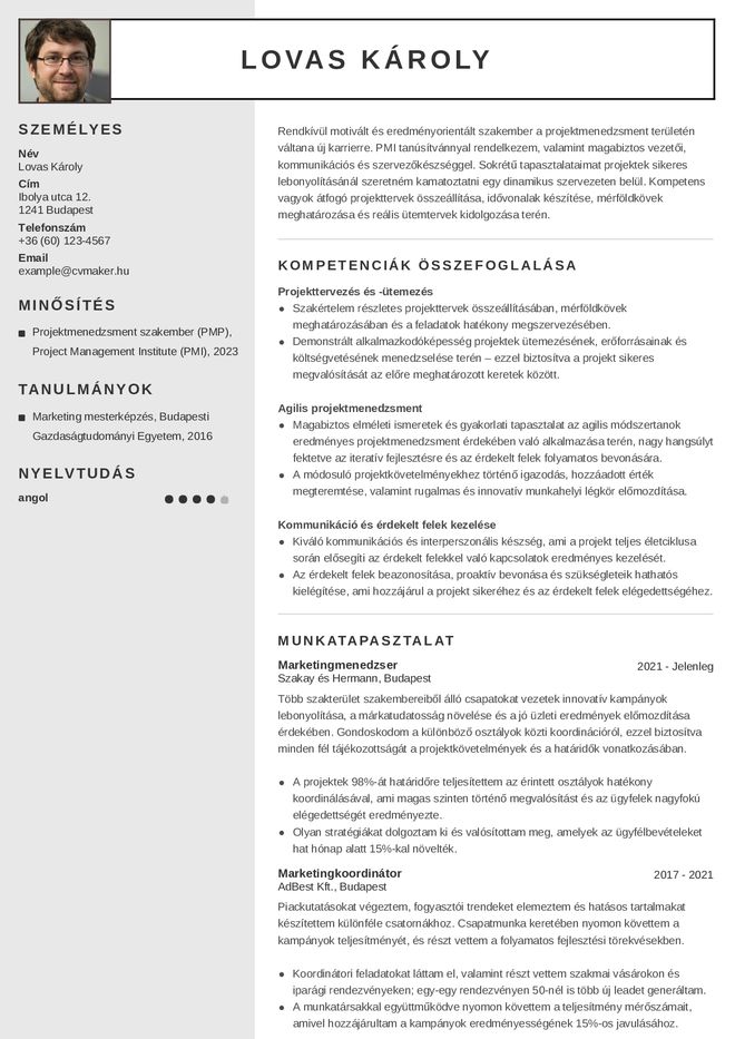 Önéletrajzminta karrierváltáshoz