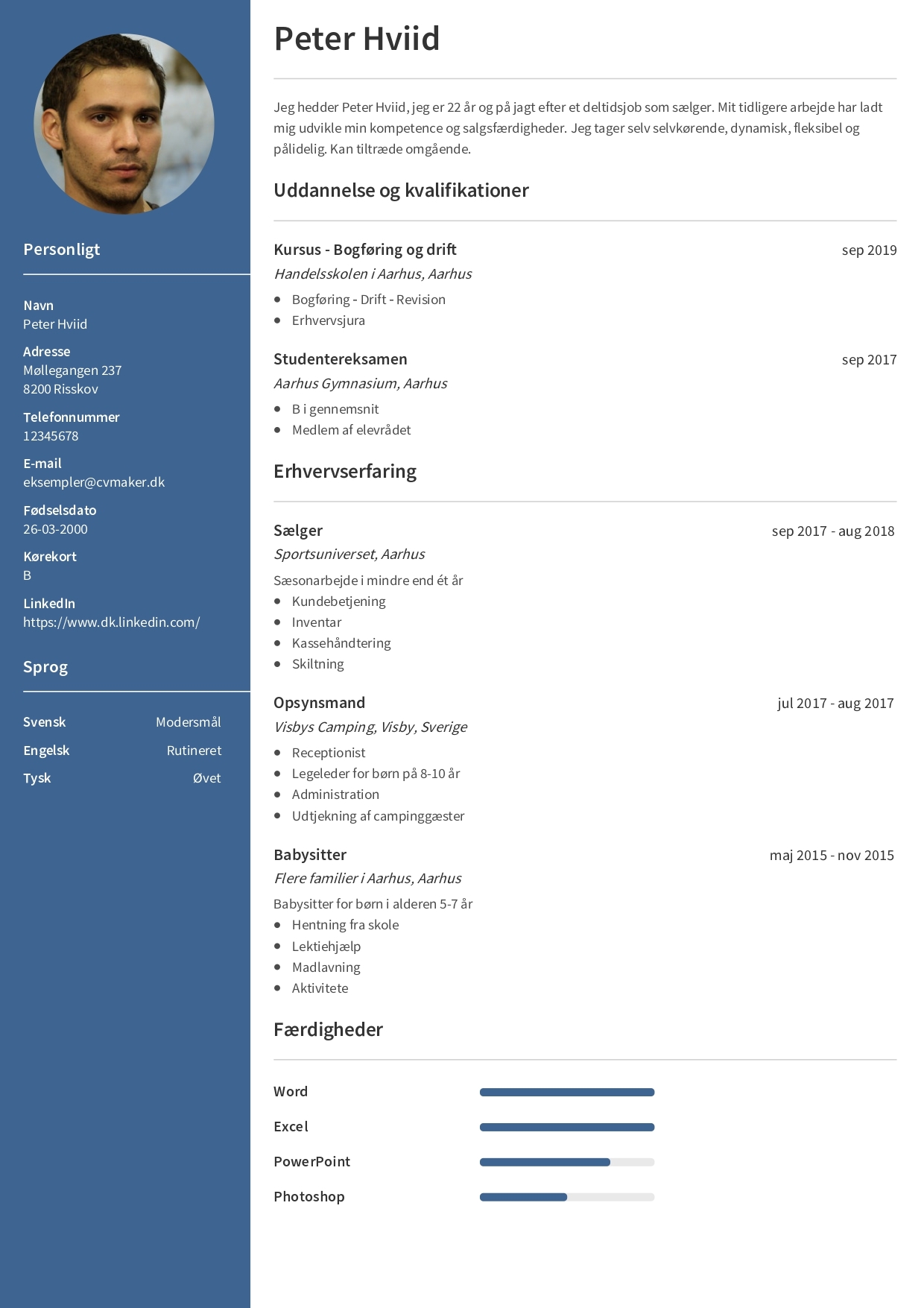 Eksempel på sprogfærdigheder CV