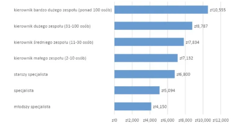 Miesięczne wynagrodzenia wg poziomu stanowisk (2020)