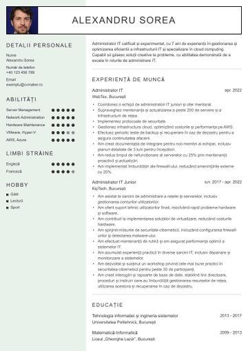 CV IT