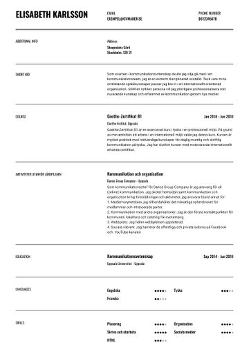 exempel CV wisconsin