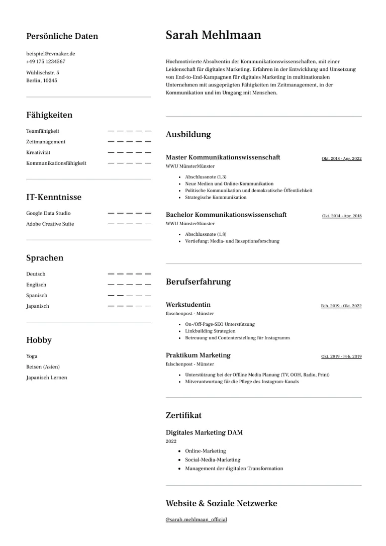 Marketing Lebenslauf Beispiel