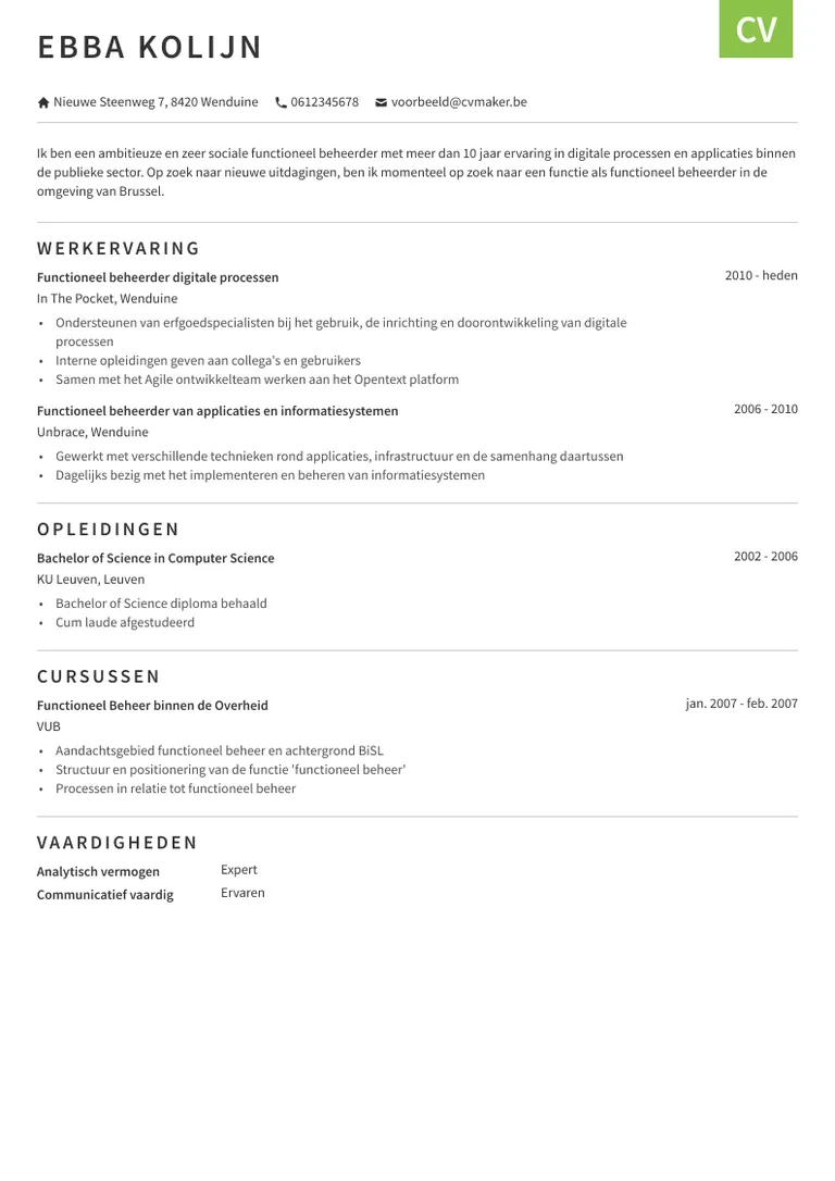 voorbeeld ICT cv