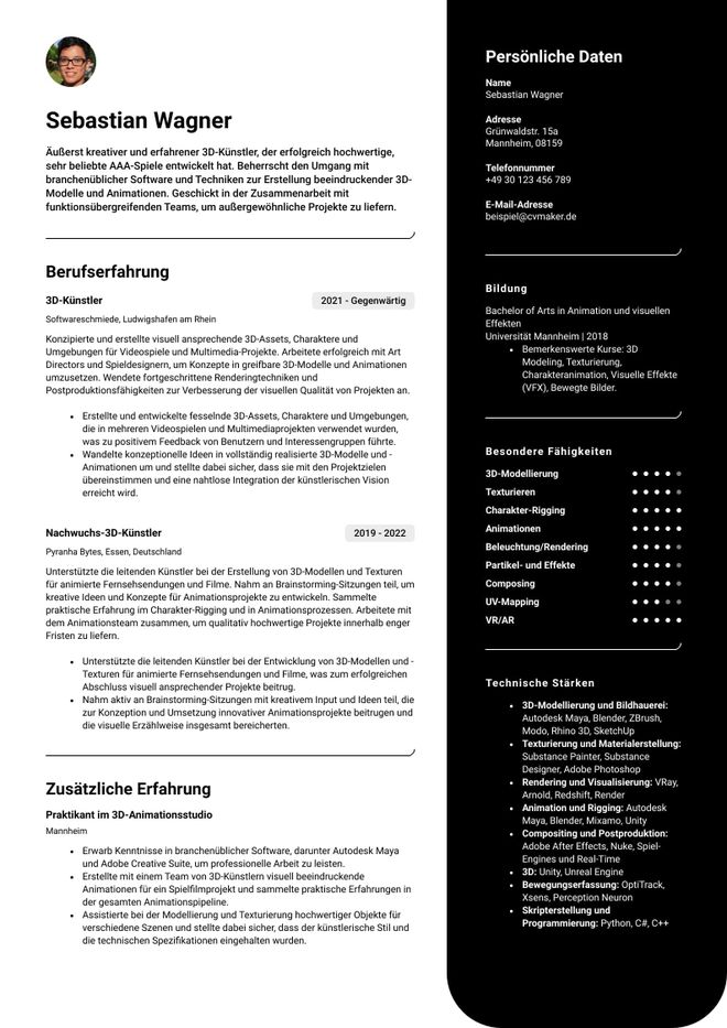 Lebenslauf Beispiel Künstler