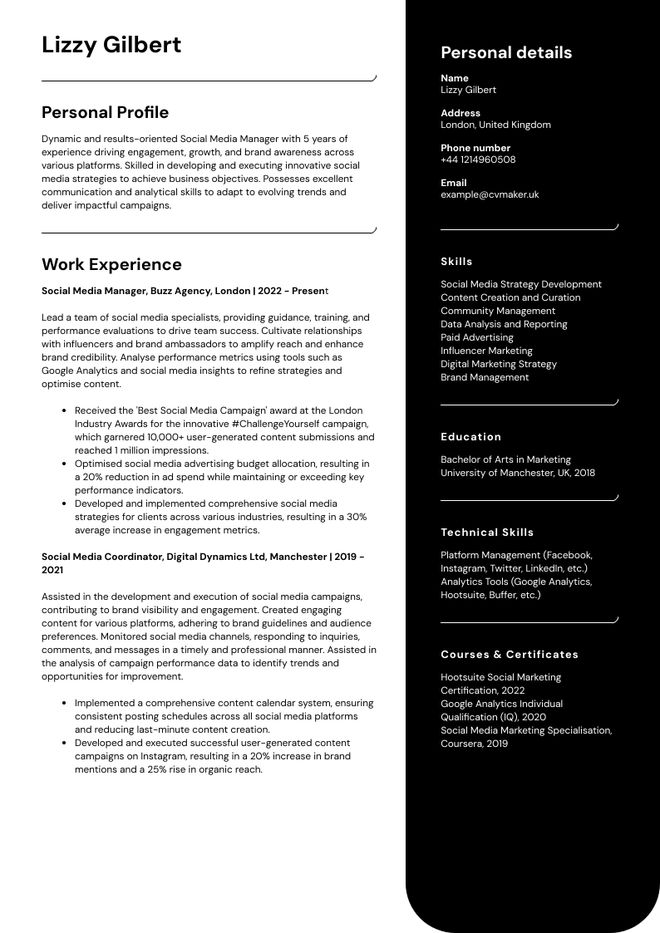 Social media CV sample