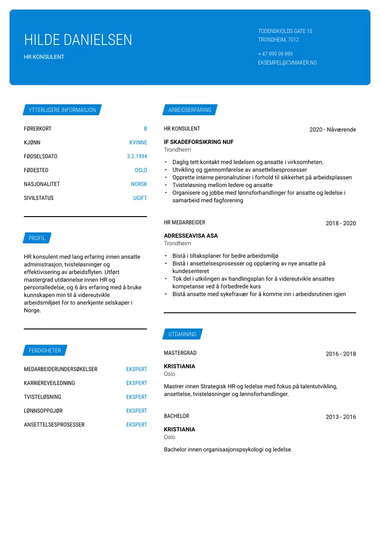 Eksempel på CV for konsulent