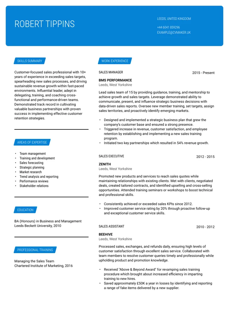 Sales Manager CV sample