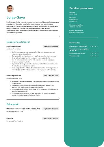 CV de profesor