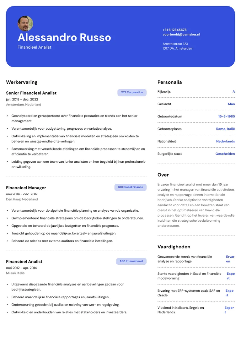 cv voorbeeld financieel