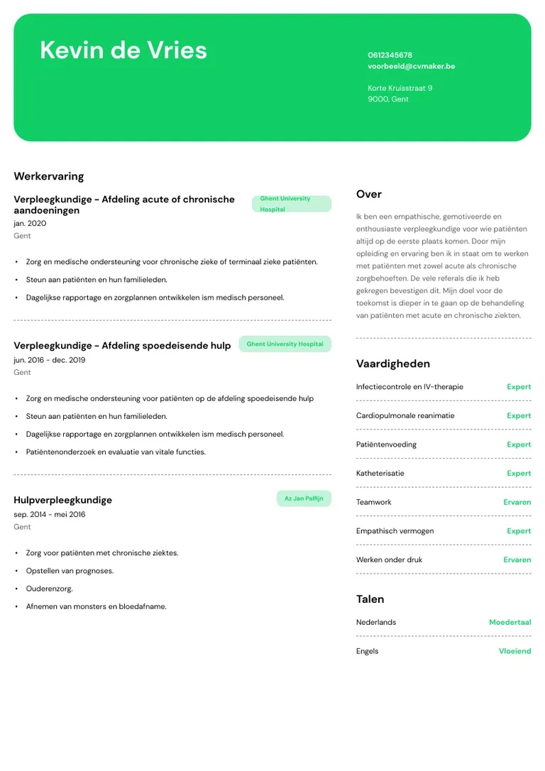 verpleegkundige cv-voorbeeld
