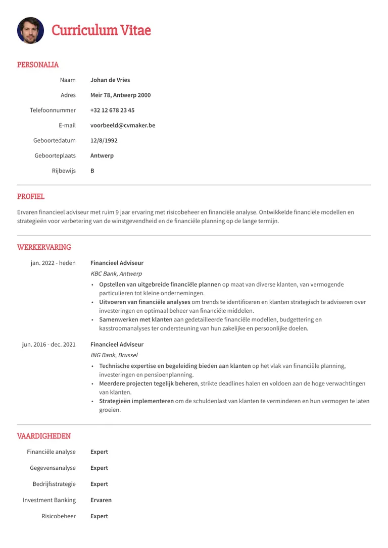Princeton cv template voor een simpel cv