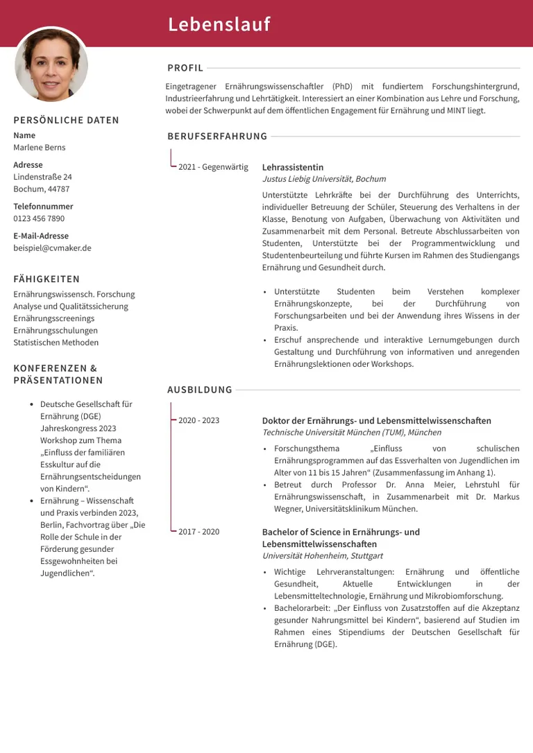 akademischer Lebenslauf Beispiel