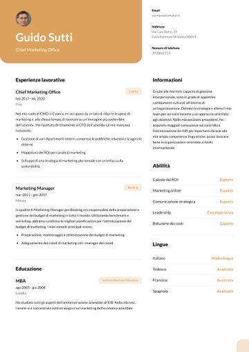 esempio di cv columbia giallo