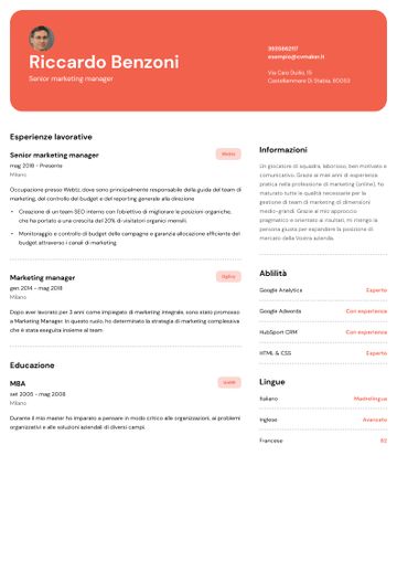 esempio di cv erasmus rosso