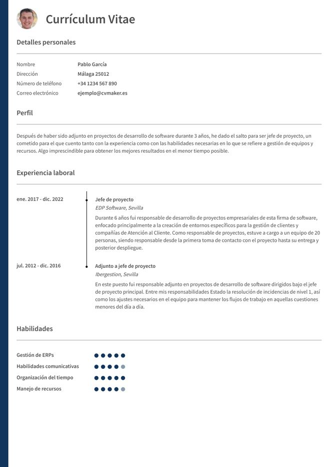 Currículum de Jefe de proyecto