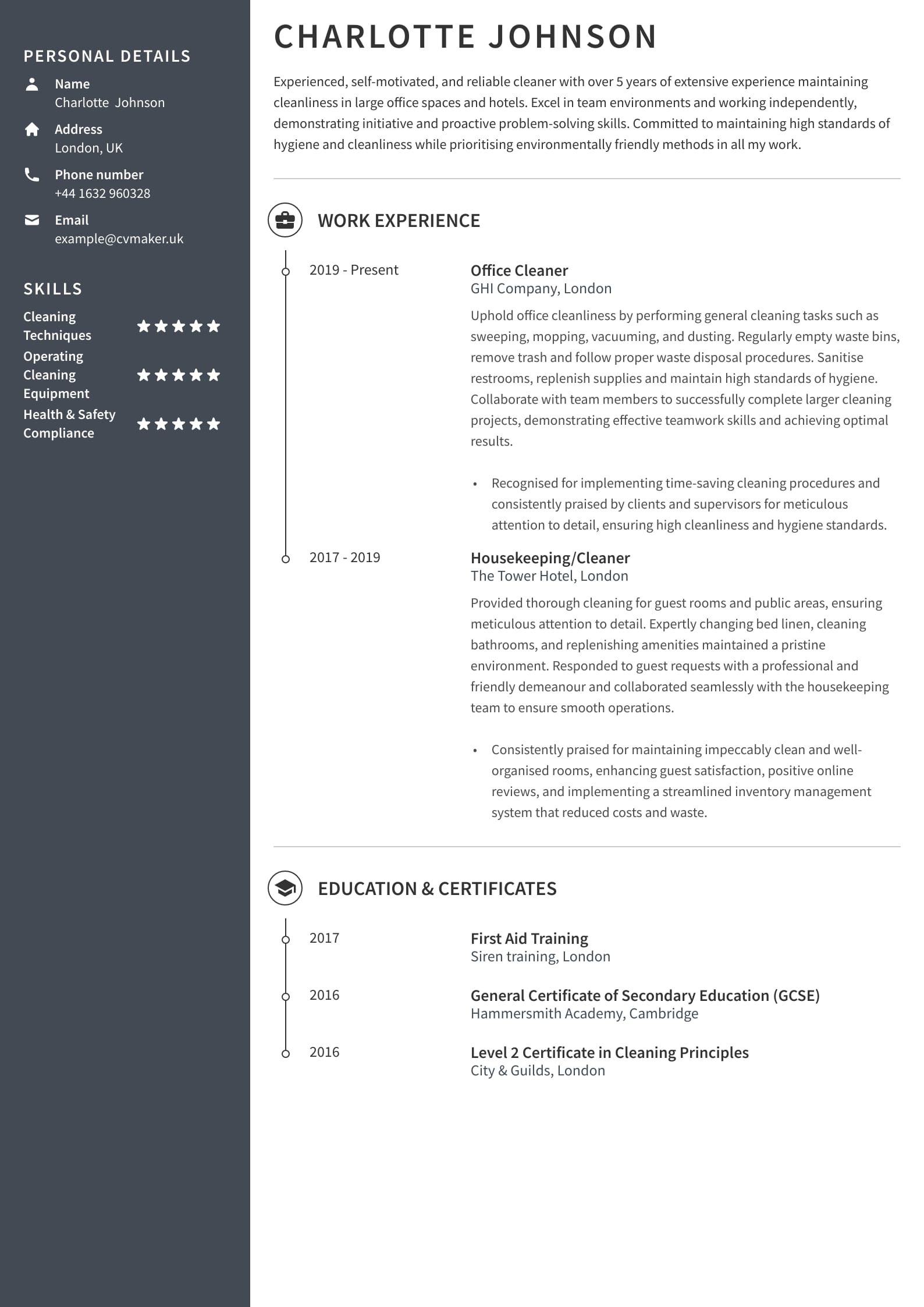 Cleaner CV