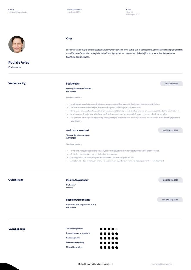 Cv accountant voorbeeld