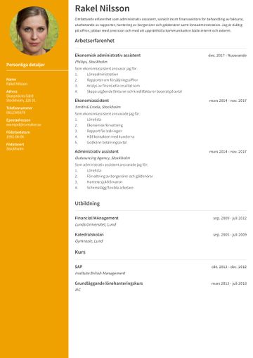 exempel CV stanford gul