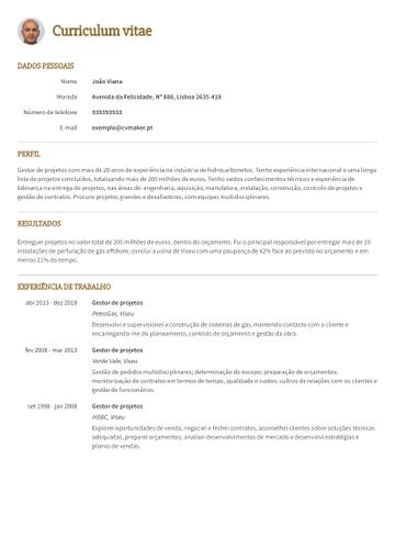Exemplo CV princeton amarelo