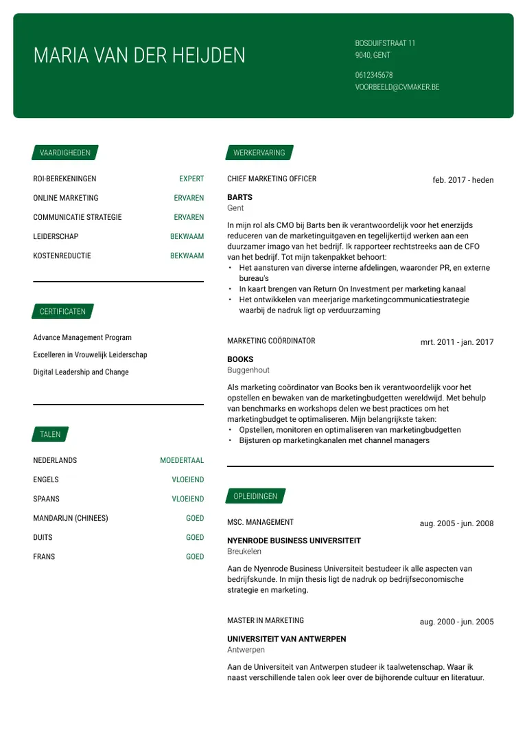 Voorbeeld cv - marketing manager
