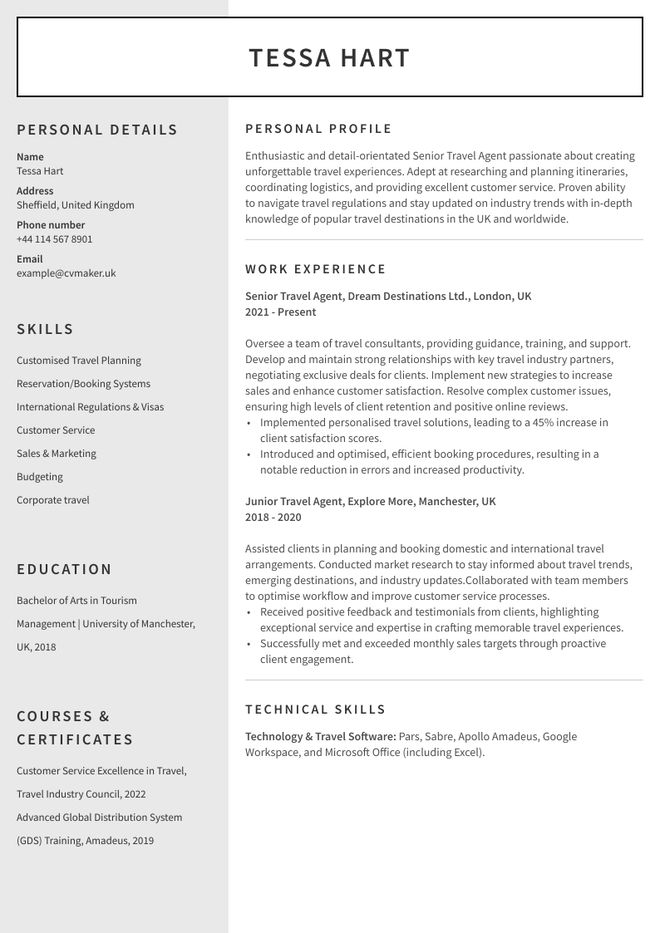 Travel Agent CV sample