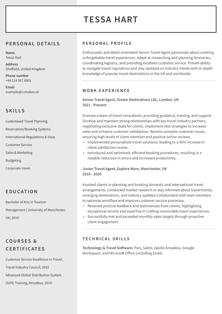 Travel Agent CV