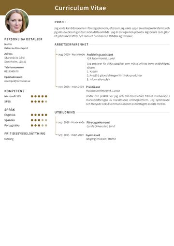 exempel CV cambridge brun