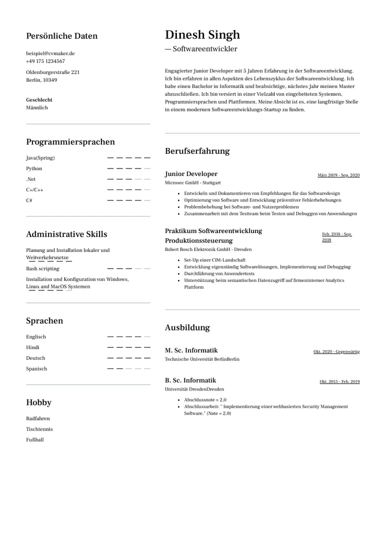 Lebenslauf Beispiel Softwareentwickler